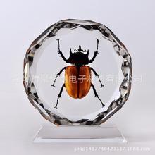 浪潮信息发布元脑SD200 Ultra超节点：紧耦合128芯本土AI芯片